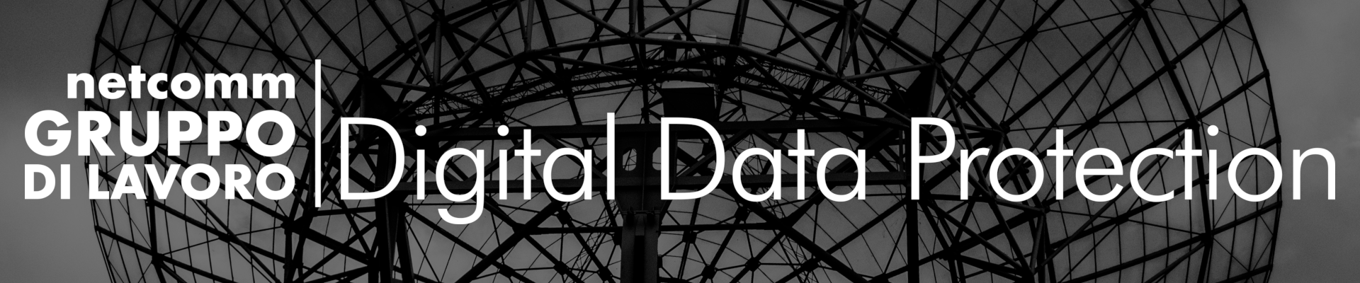 Netcomm Gruppo di Lavoro Digital data protection