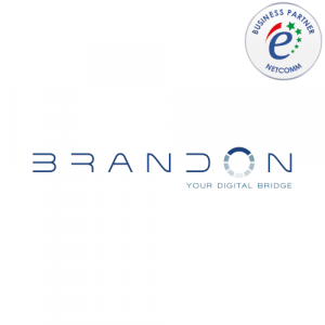 Brandon socio netcomm