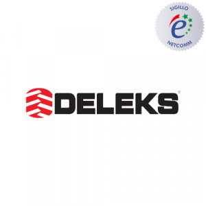 logo deleks socio netcomm