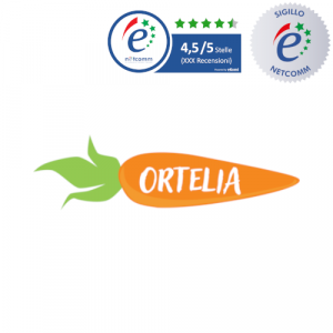 logo ortelia socio netcomm